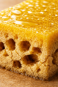 A conceptual photo of a yellow sponge with a shiny oily top layer and brittle cracked sides to illustrate dehydrated skin.